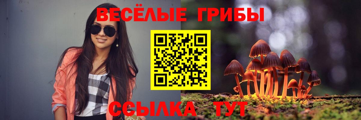 где купить   Псилоцибиновые грибы мухоморы  Вход с VPN  Псилоцибиновые грибы MAGIC MUSHROOMS  Барабинск 